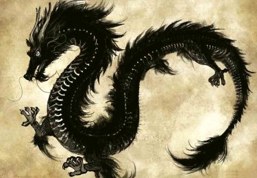 thé_oolong_tea_black_dragon_noir
